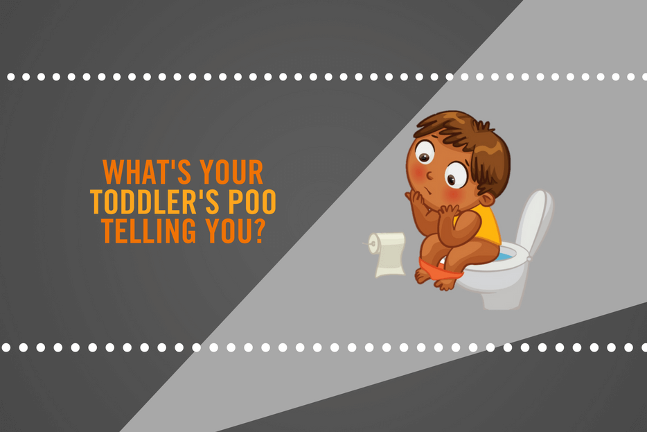 What S Your Toddler S Poo Telling You Infographic Diaresq